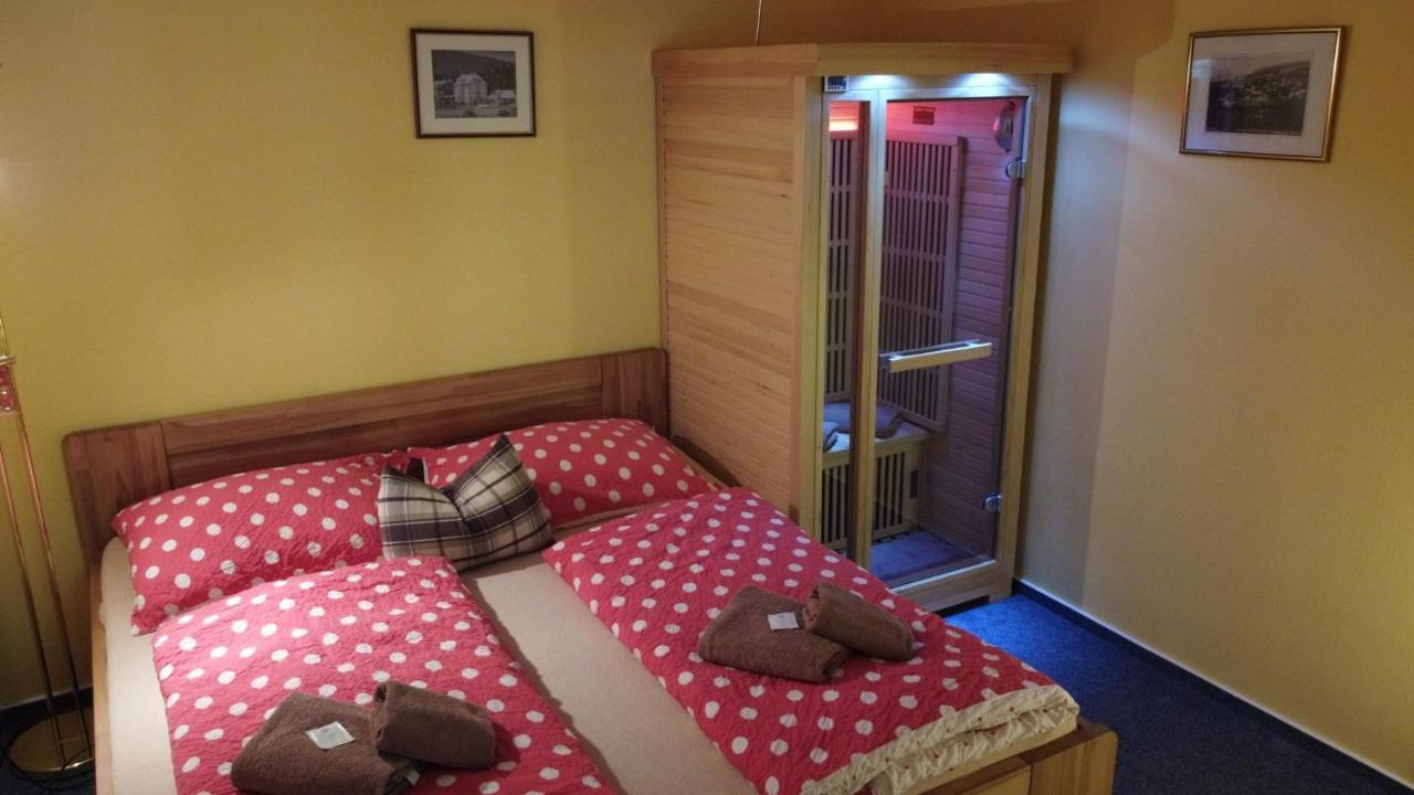 Pension Aura Špičák Železná Ruda Exterior foto